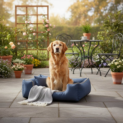 Petnest Pet Bed | Washable Bed for Cats and Small to Medium Dogs