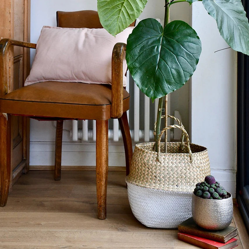 Verdia Handmade Seagrass Planters | Eco-Friendly Tall Plant Pot Baskets - Styyler