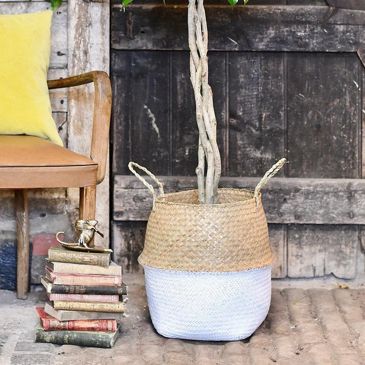 Verdia Handmade Seagrass Planters | Eco-Friendly Tall Plant Pot Baskets - Styyler