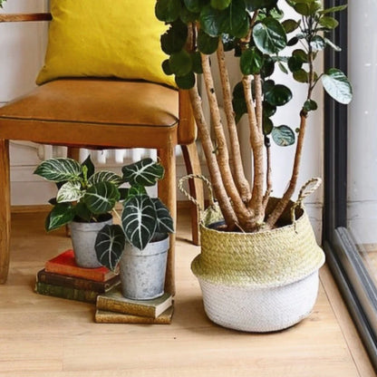Verdia Handmade Seagrass Planters | Eco-Friendly Tall Plant Pot Baskets - Styyler